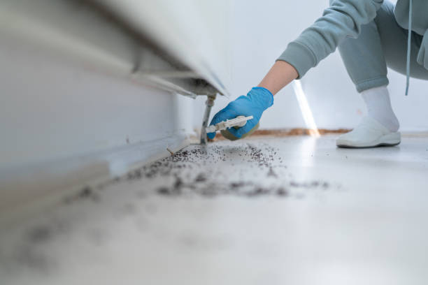 Best Pest Control Near Me in Hurley, WI